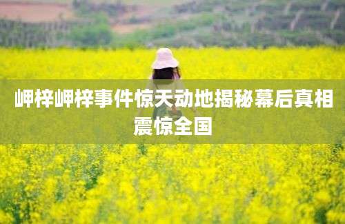 岬梓岬梓事件惊天动地揭秘幕后真相震惊全国