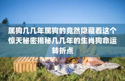 属狗几几年属狗的竟然隐藏着这个惊天秘密揭秘几几年的生肖狗命运转折点