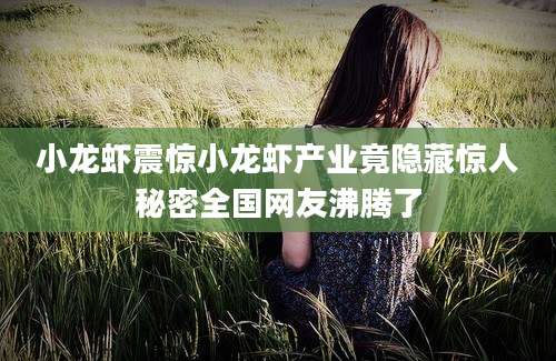 小龙虾震惊小龙虾产业竟隐藏惊人秘密全国网友沸腾了