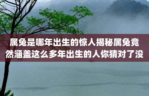 属兔是哪年出生的惊人揭秘属兔竟然涵盖这么多年出生的人你猜对了没