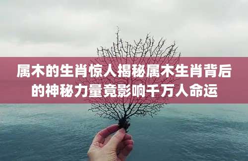 属木的生肖惊人揭秘属木生肖背后的神秘力量竟影响千万人命运