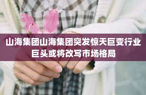 山海集团山海集团突发惊天巨变行业巨头或将改写市场格局