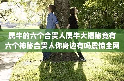 属牛的六个合贵人属牛大揭秘竟有六个神秘合贵人你身边有吗震惊全网