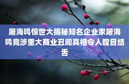 屠海鸣惊世大揭秘知名企业家屠海鸣竟涉重大商业丑闻真相令人瞠目结舌