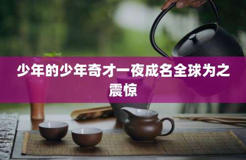 少年的少年奇才一夜成名全球为之震惊