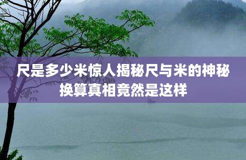 尺是多少米惊人揭秘尺与米的神秘换算真相竟然是这样