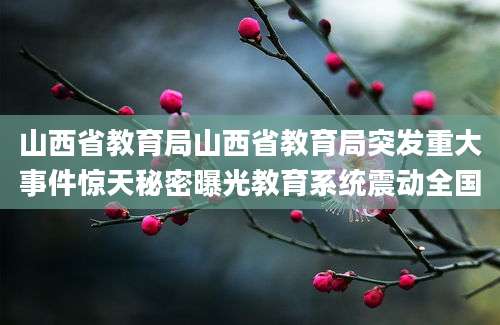 山西省教育局山西省教育局突发重大事件惊天秘密曝光教育系统震动全国