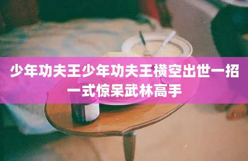 少年功夫王少年功夫王横空出世一招一式惊呆武林高手