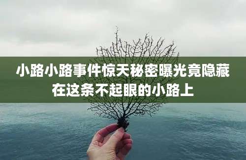 小路小路事件惊天秘密曝光竟隐藏在这条不起眼的小路上