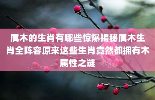 属木的生肖有哪些惊爆揭秘属木生肖全阵容原来这些生肖竟然都拥有木属性之谜
