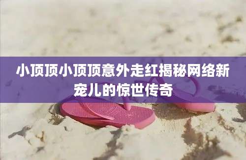 小顶顶小顶顶意外走红揭秘网络新宠儿的惊世传奇