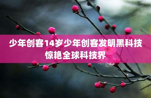 少年创客14岁少年创客发明黑科技惊艳全球科技界