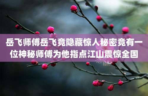 岳飞师傅岳飞竟隐藏惊人秘密竟有一位神秘师傅为他指点江山震惊全国