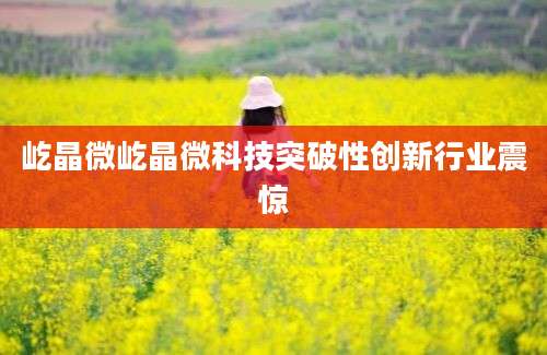 屹晶微屹晶微科技突破性创新行业震惊