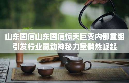 山东国信山东国信惊天巨变内部重组引发行业震动神秘力量悄然崛起