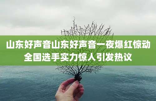 山东好声音山东好声音一夜爆红惊动全国选手实力惊人引发热议