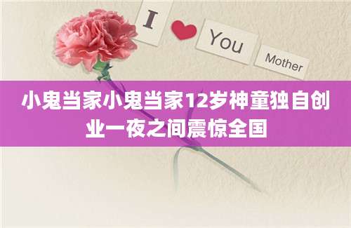 小鬼当家小鬼当家12岁神童独自创业一夜之间震惊全国