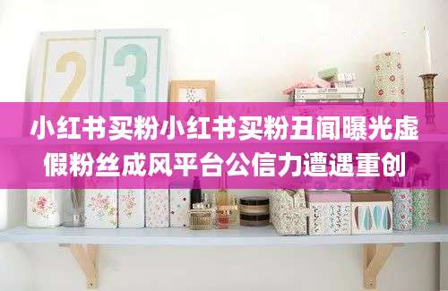 小红书买粉小红书买粉丑闻曝光虚假粉丝成风平台公信力遭遇重创