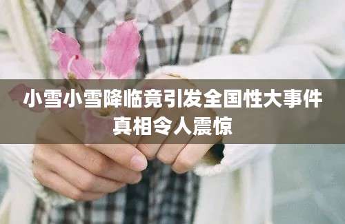 小雪小雪降临竟引发全国性大事件真相令人震惊
