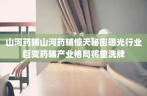 山河药辅山河药辅惊天秘密曝光行业巨变药辅产业格局将重洗牌