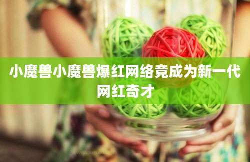 小魔兽小魔兽爆红网络竟成为新一代网红奇才