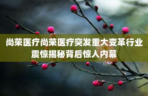 尚荣医疗尚荣医疗突发重大变革行业震惊揭秘背后惊人内幕