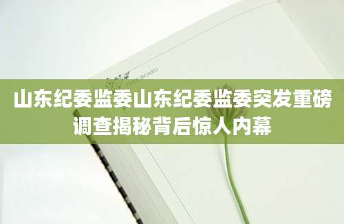 山东纪委监委山东纪委监委突发重磅调查揭秘背后惊人内幕
