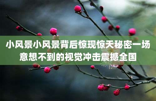 小风景小风景背后惊现惊天秘密一场意想不到的视觉冲击震撼全国