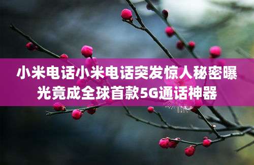 小米电话小米电话突发惊人秘密曝光竟成全球首款5G通话神器