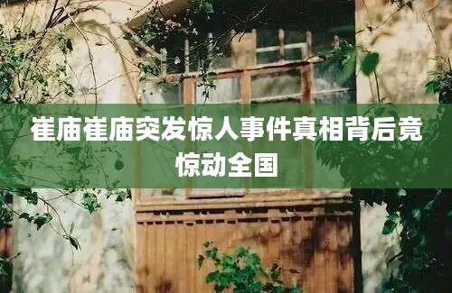 崔庙崔庙突发惊人事件真相背后竟惊动全国