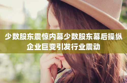 少数股东震惊内幕少数股东幕后操纵企业巨变引发行业震动