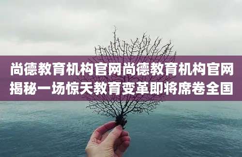 尚德教育机构官网尚德教育机构官网揭秘一场惊天教育变革即将席卷全国