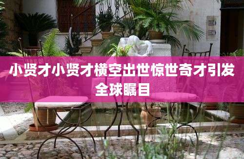 小贤才小贤才横空出世惊世奇才引发全球瞩目