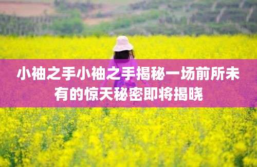 小袖之手小袖之手揭秘一场前所未有的惊天秘密即将揭晓
