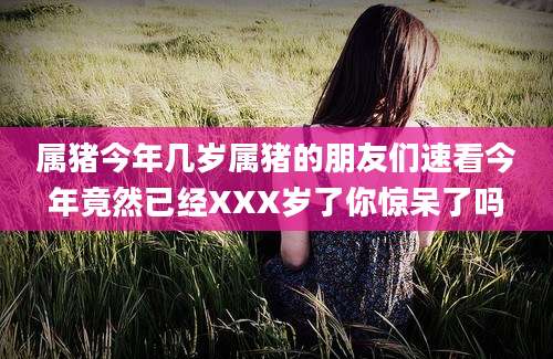 属猪今年几岁属猪的朋友们速看今年竟然已经XXX岁了你惊呆了吗