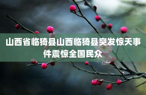 山西省临猗县山西临猗县突发惊天事件震惊全国民众