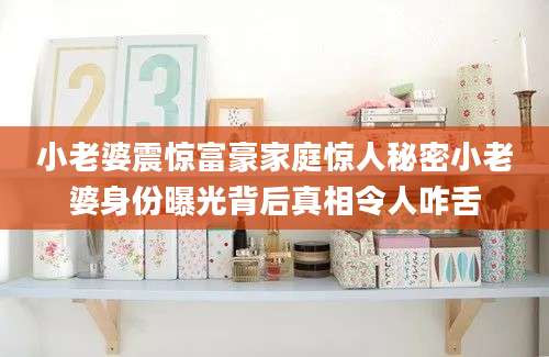 小老婆震惊富豪家庭惊人秘密小老婆身份曝光背后真相令人咋舌