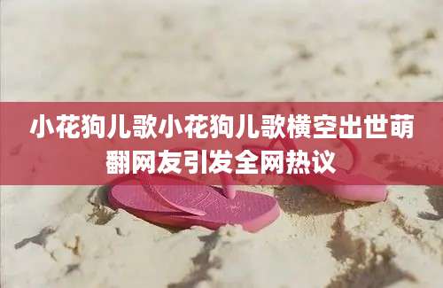 小花狗儿歌小花狗儿歌横空出世萌翻网友引发全网热议