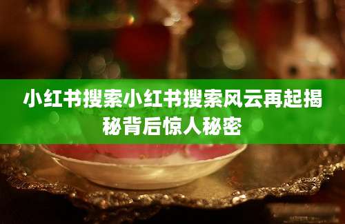 小红书搜索小红书搜索风云再起揭秘背后惊人秘密