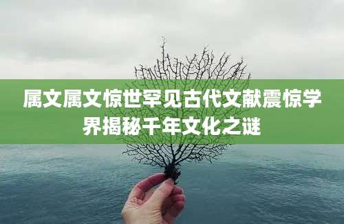 属文属文惊世罕见古代文献震惊学界揭秘千年文化之谜