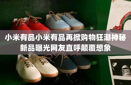 小米有品小米有品再掀购物狂潮神秘新品曝光网友直呼颠覆想象
