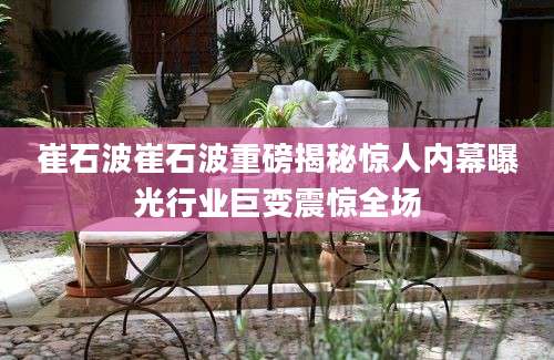 崔石波崔石波重磅揭秘惊人内幕曝光行业巨变震惊全场