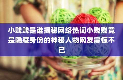 小贱贱是谁揭秘网络热词小贱贱竟是隐藏身份的神秘人物网友震惊不已