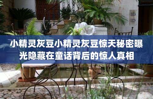 小精灵灰豆小精灵灰豆惊天秘密曝光隐藏在童话背后的惊人真相