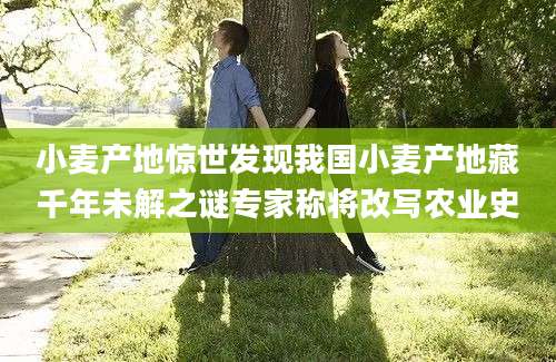 小麦产地惊世发现我国小麦产地藏千年未解之谜专家称将改写农业史