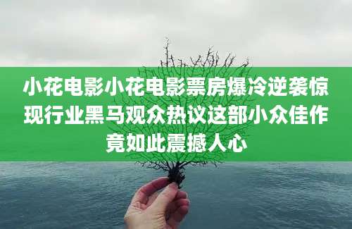 小花电影小花电影票房爆冷逆袭惊现行业黑马观众热议这部小众佳作竟如此震撼人心