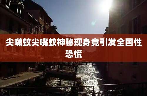 尖嘴蚊尖嘴蚊神秘现身竟引发全国性恐慌