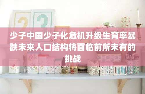 少子中国少子化危机升级生育率暴跌未来人口结构将面临前所未有的挑战
