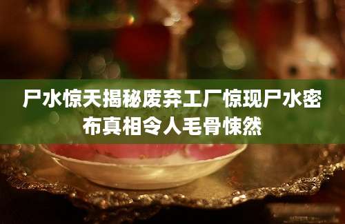 尸水惊天揭秘废弃工厂惊现尸水密布真相令人毛骨悚然