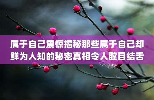 属于自己震惊揭秘那些属于自己却鲜为人知的秘密真相令人瞠目结舌